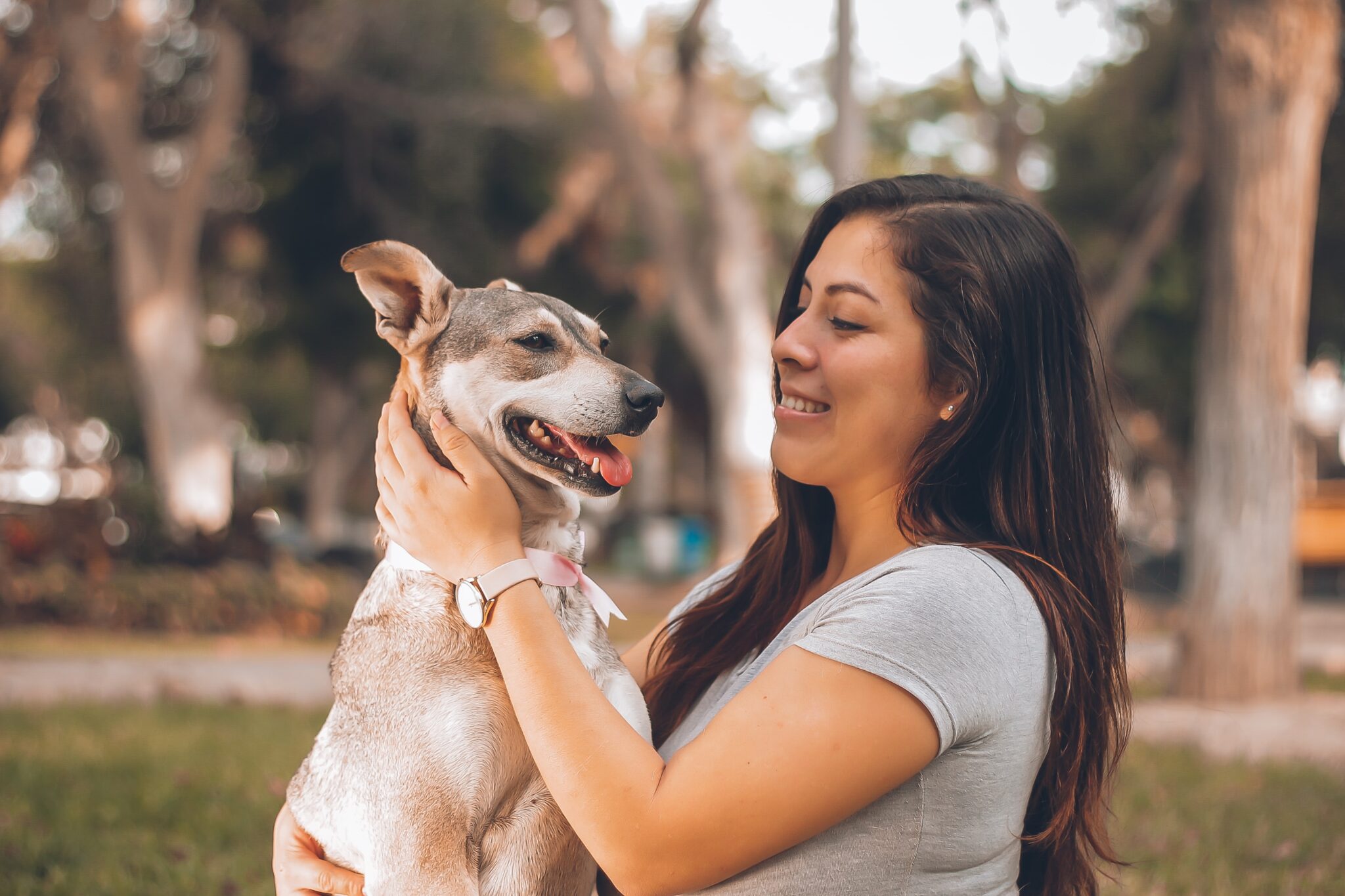 Living with your dog in Hamburg 2