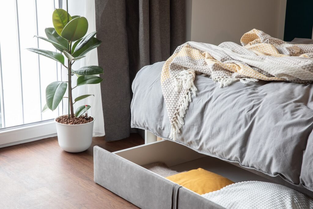 Spring Cleaning: Declutter and Invite New Energy 7